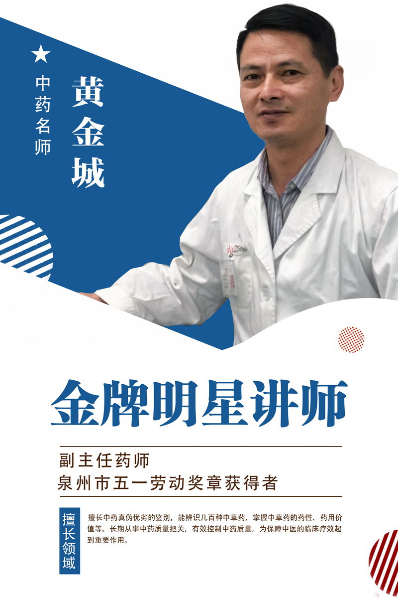 师资团队